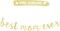 Best Mom Ever Gold Glitter Banner – Pre-Strung Mother’s Day Party Decoration